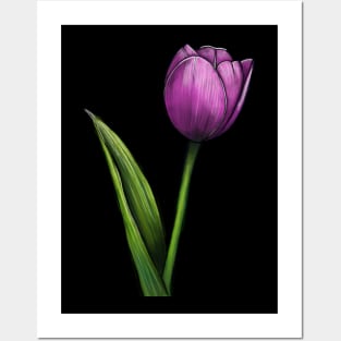 Tulip Posters and Art